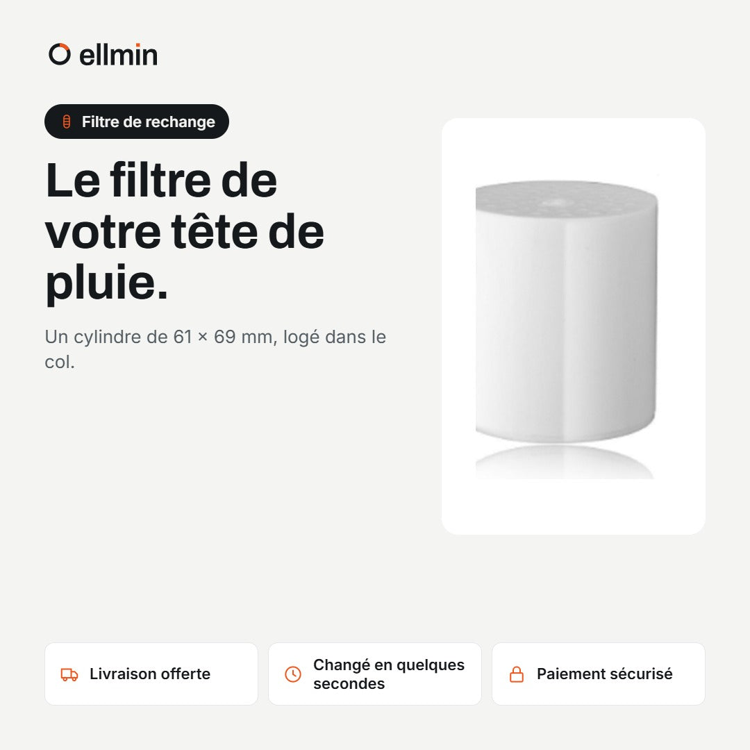 Filtre de rechange pour tête de pluie Ellmin